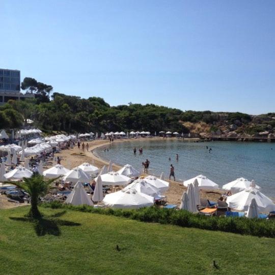 Queen Aphrodite Hotel Karpasa Ngoại thất bức ảnh